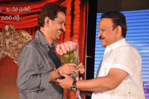 Mr.Pellikoduku Audio Launch Photos