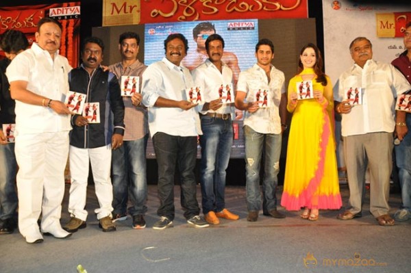 Mr.Pellikoduku Audio Launch Photos