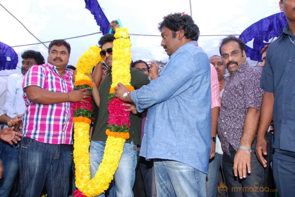 Naayak Movie Team At Success Tour  