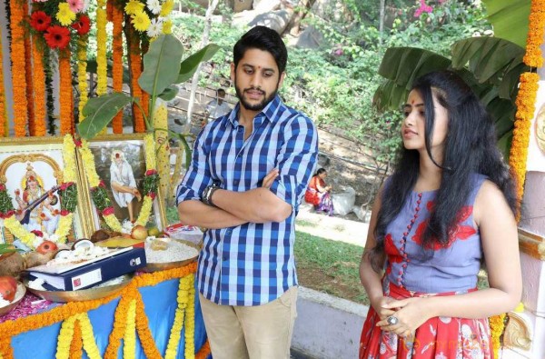  Naga Chaitanya New Movie Launch 