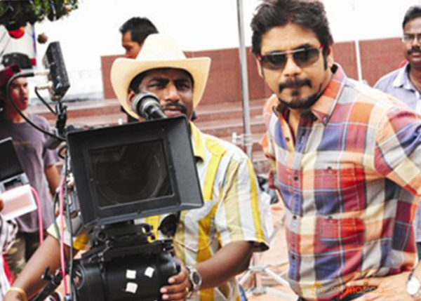 Nag's Greeku Veerudu Movie Working Stills