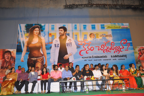 Nenem Chinna Pillana Movie Audio launch