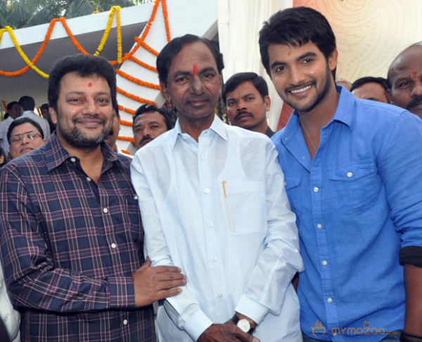 NTR at Aadi NewMovie Launch Photos