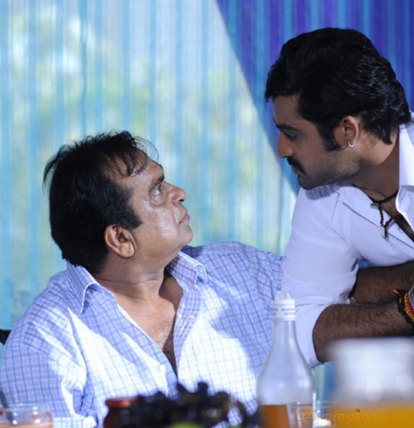 NTR Baadshah Bramhanandam Photos