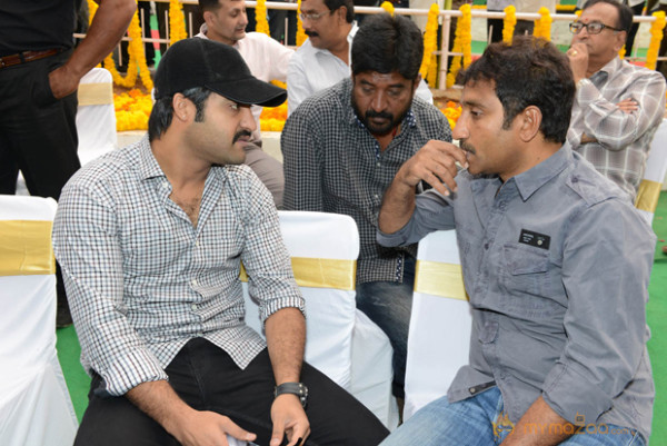 NTR New Movie Opening Photo Gallery