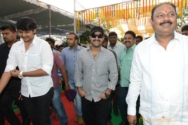 NTR New Movie Opening Photo Gallery