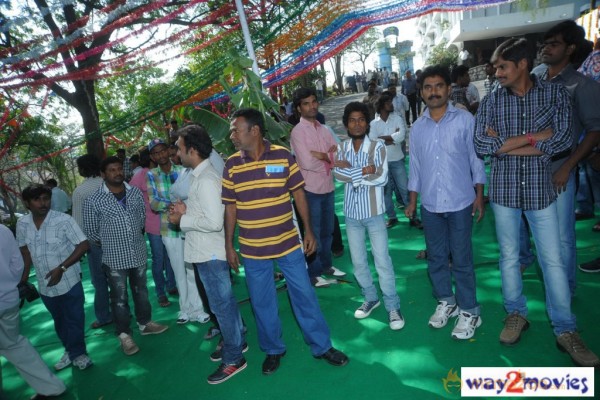 Nuvvala Nenila Movie Launch 