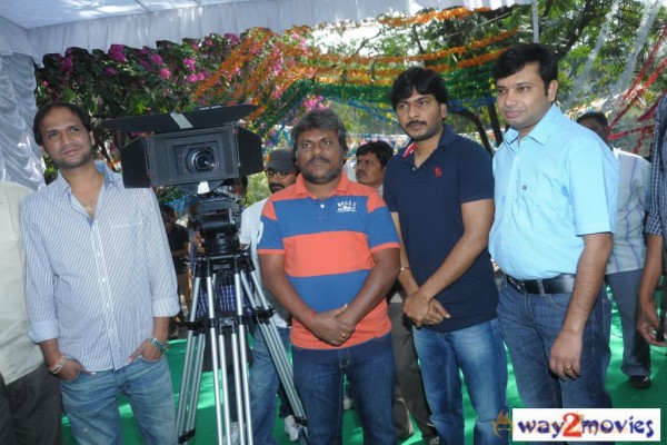 Nuvvala Nenila Movie Launch 