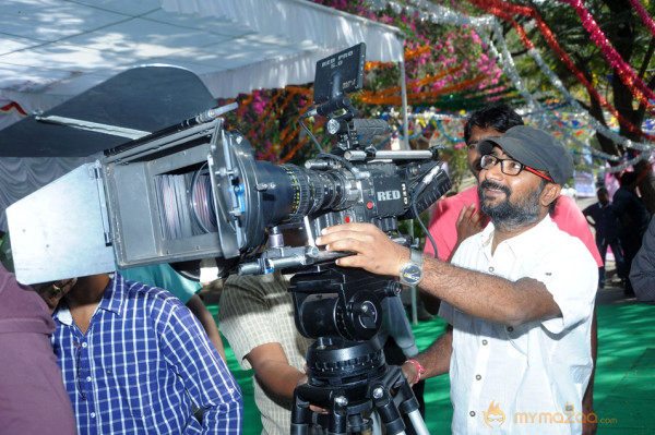 Nuvvala Nenila Movie Opening Photo Gallery