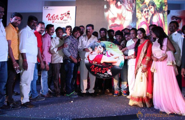  Okkaditho Modalaindi Movie Audio Launch 