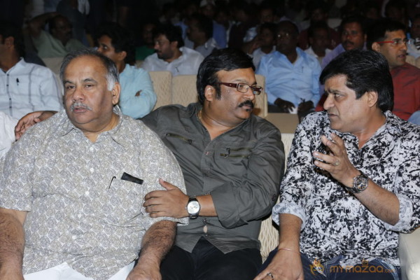 Ongole Githa Movie Audio Launch Gallery 