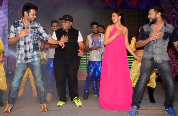  Pandaga Chesko Movie Audio Launch 