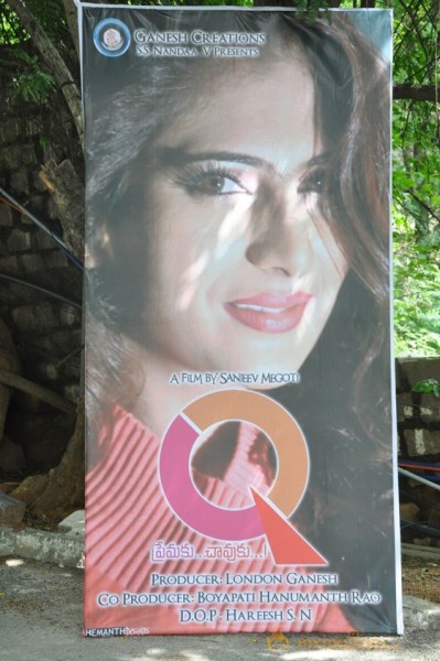 Q movie Launch Photos