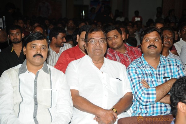 RAMAYYA VASTHAVAYYA MOVIE AUDIO LAUNCH PHOTOS