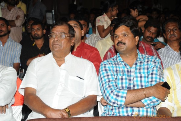 RAMAYYA VASTHAVAYYA MOVIE AUDIO LAUNCH PHOTOS