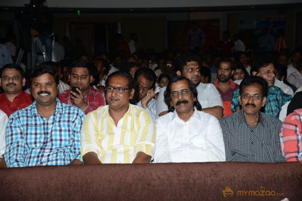 RAMAYYA VASTHAVAYYA MOVIE AUDIO LAUNCH PHOTOS