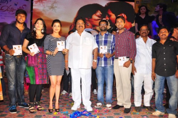 Saradaga Ammaitho Movie Audio Launch Photos