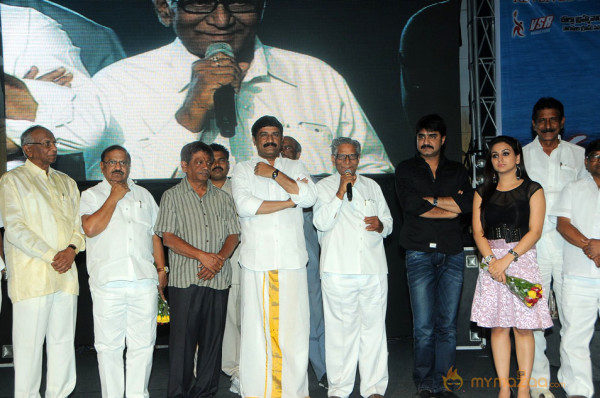 Satruvu Audio Launch Gallery