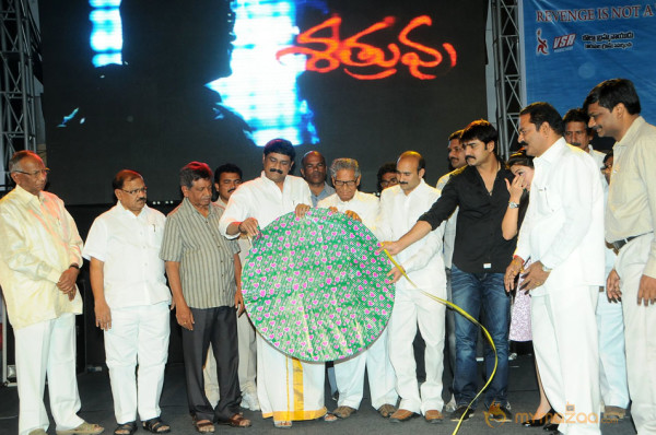 Satruvu Audio Launch Gallery