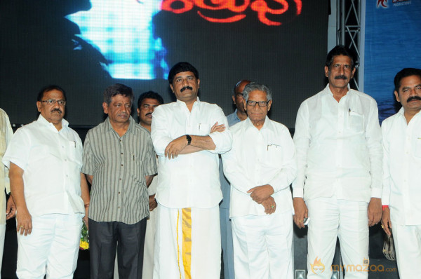 Satruvu Audio Launch Gallery