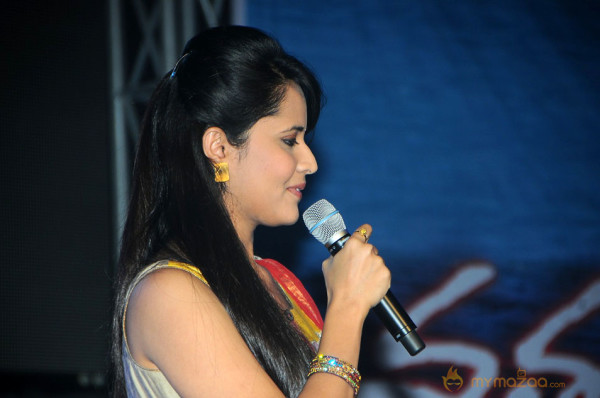 Satruvu Audio Launch Gallery