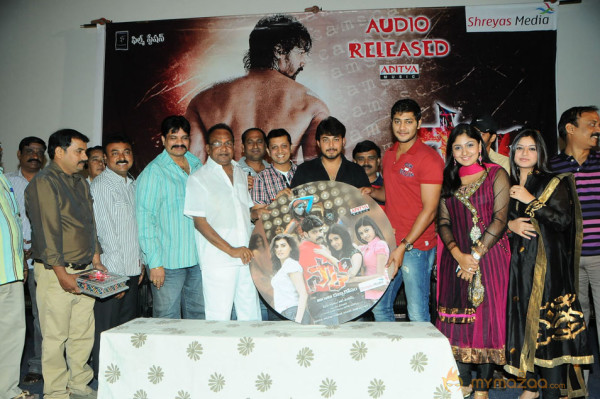 Scam Movie Audio Launch Gallery