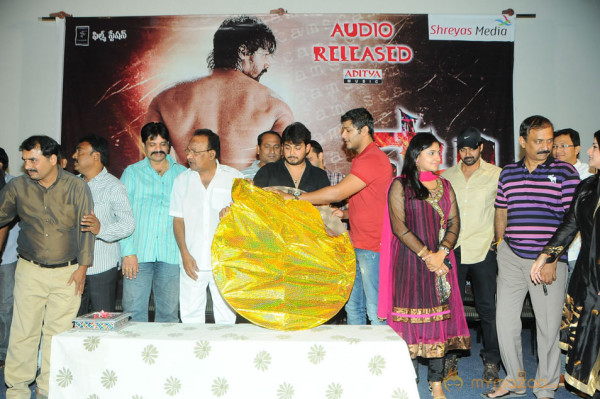 Scam Movie Audio Launch Gallery