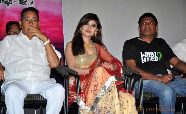  Seenugadi Love Story Audio Launch 