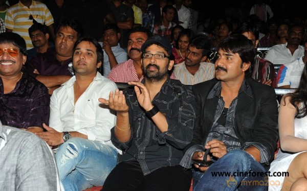 Sevakudu Audio Function