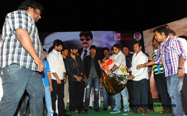 Sevakudu Audio Function