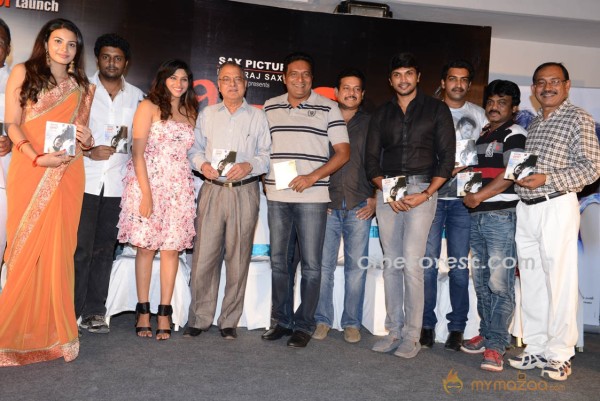 Shivani Movie Audio Launch Photos