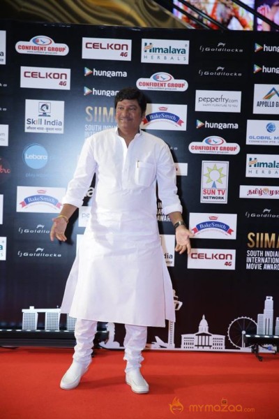 SIIMA Awards Day 2 Photos @ Singapore