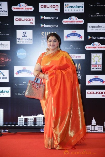 SIIMA Awards Day 2 Photos @ Singapore