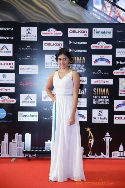 SIIMA Awards Day 2 Photos @ Singapore