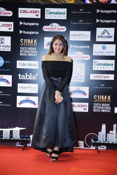 SIIMA Awards Day 2 Photos @ Singapore