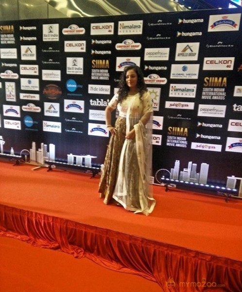 South India Celebrities at SIIMA 2016 Awards