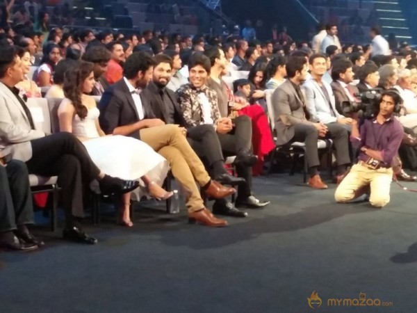 South India Celebrities at SIIMA 2016 Awards