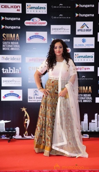 South India Celebrities at SIIMA 2016 Awards