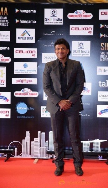 South India Celebrities at SIIMA 2016 Awards