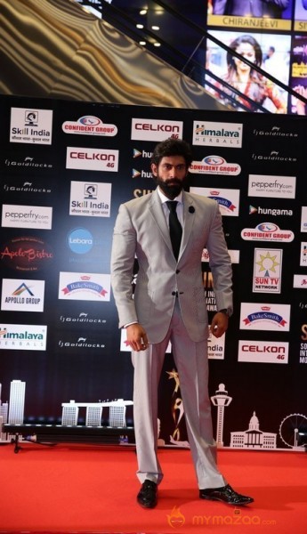 South India Celebrities at SIIMA 2016 Awards