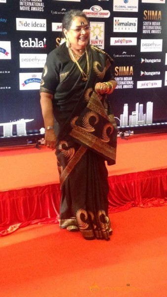 South India Celebrities at SIIMA 2016 Awards