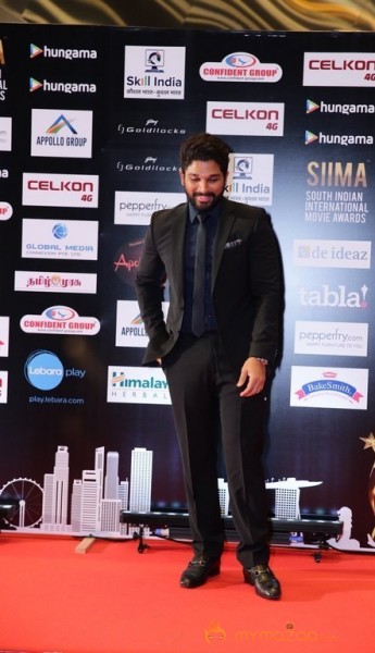 South India Celebrities at SIIMA 2016 Awards