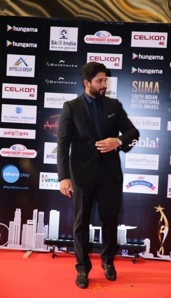 South India Celebrities at SIIMA 2016 Awards