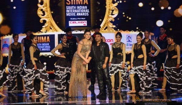 South India Celebrities at SIIMA 2016 Awards