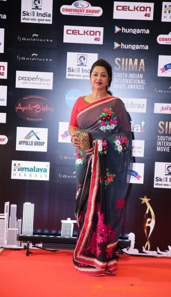 South India Celebrities at SIIMA 2016 Awards