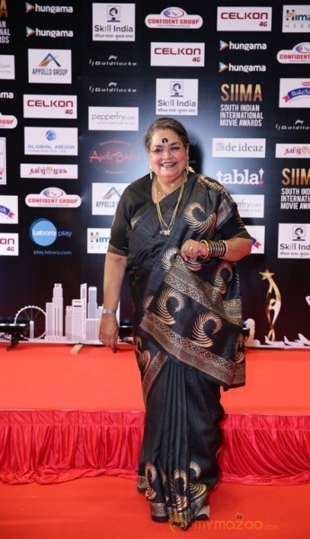 South India Celebrities at SIIMA 2016 Awards