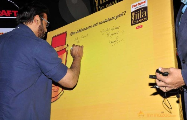  South India IIFA Utsavam 2015 