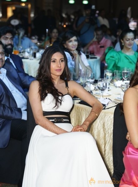 South Indian Business Achievers Awards Photos