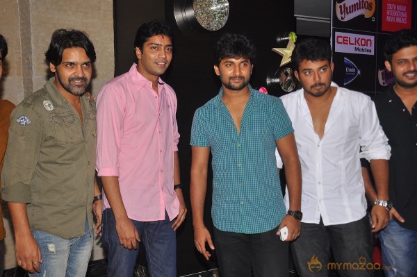 South Stars At SIIMA Awards 2013