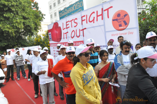 Stars At Cancer Awareness 2013 Event 